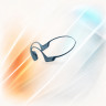 Беспроводные наушники Shokz Openrun Pro S810