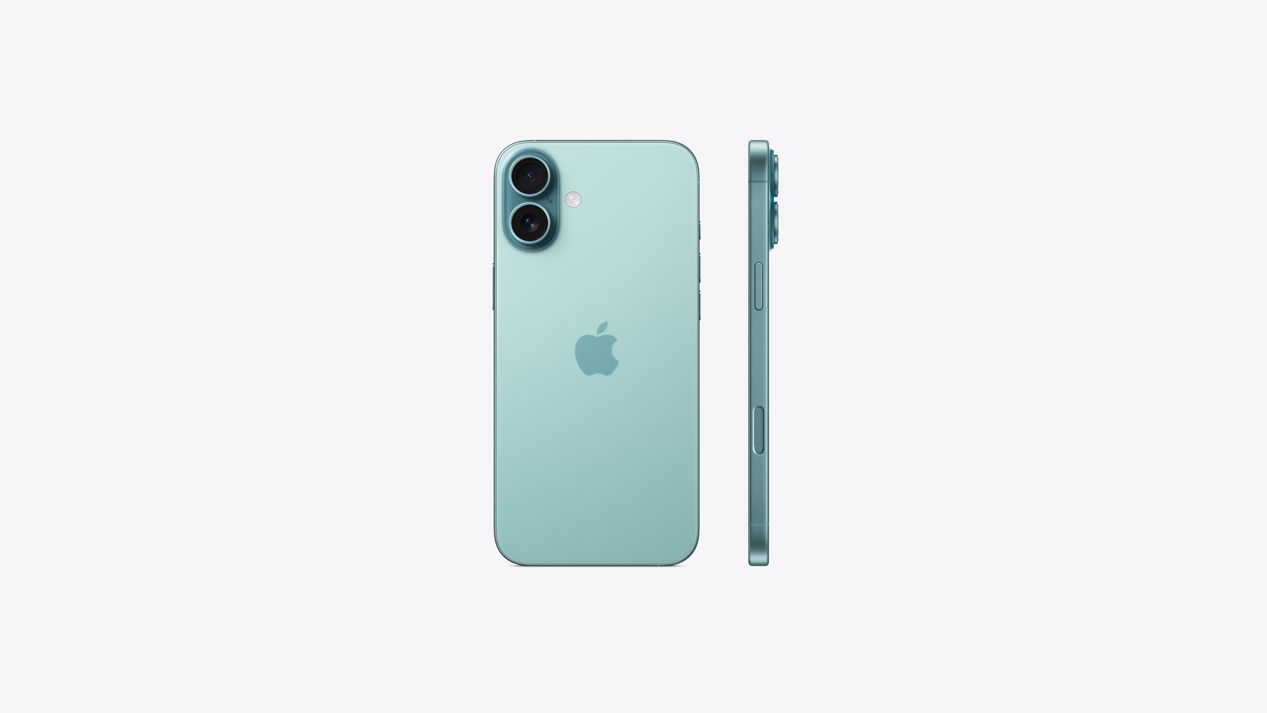 iPhone 16 Plus — выбранный цвет